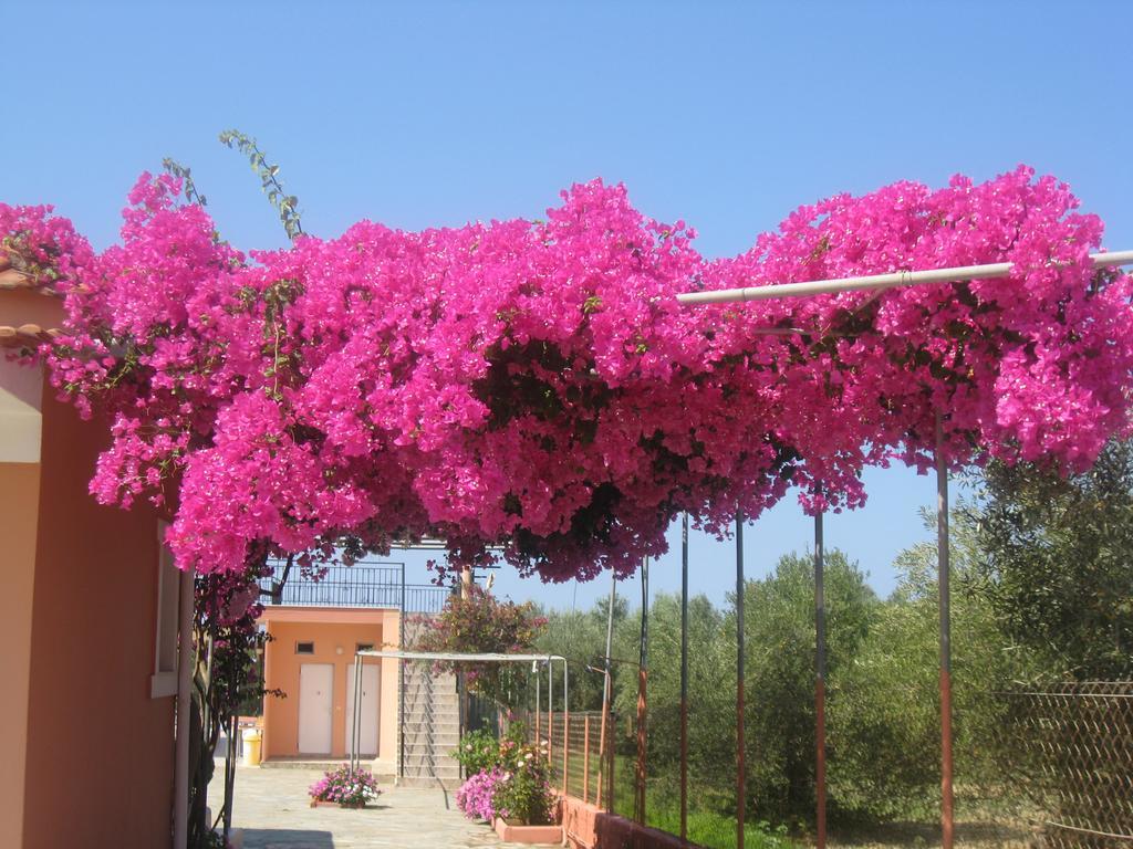 Paradise Studios Svoronata Exteriér fotografie
